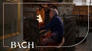 Bach - Kyrie, Gott Vater in Ewigkeit BWV 669 - Van Doeselaar | Netherlands Bach Society
