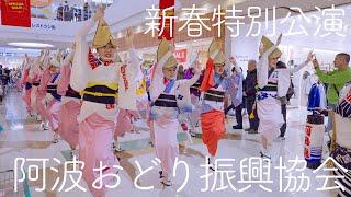 【阿波踊り2025】ゆめタウン徳島 新春特別公演に阿波おどり振興協会が初登場！  | Awaodori in Tokushima Japan