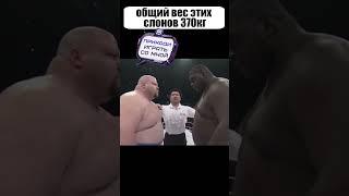 Битва двух СЛОНОВ весом 370кг закончилась НЕОЖИДАННЫМ образом #shorts