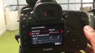 Canon 5D Mark 4 - Setting Audio Levels