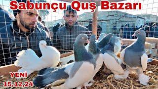 Sabunçu Quş Bazarı 15 dekabr 2024