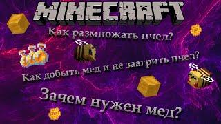 Как разводить пчел?  Minecraft 1.16