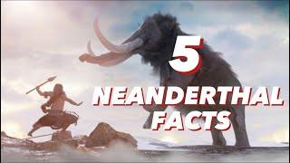 5 Fascinating Neanderthal Facts You Probably Will Not Know