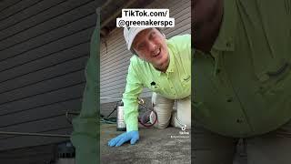 Everyone Should Do This #greenakerspc #pestcontrol #bestsolutions