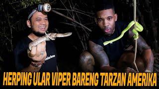 PANJI AJAK TARZAN AMERIKA CARI ULAR KE HUTAN DAPET BANYAK VIPER‼️