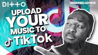 How to Get YOUR Music on TikTok | Upload songs to TikTok with Ditto Music