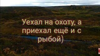 Уехал на охоту в красивейшие незнакомые мне места, а приехал ещё и с рыбой