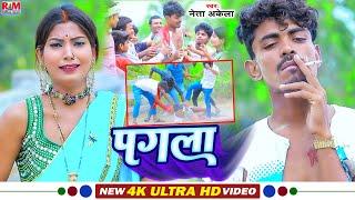 #Video Neta Akela का रुला देने बाला दर्दनाक #Maghi #SadSong || पगला || Pagala || नेता अकेला