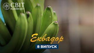 Как выращивают бананы для экспорта в Украину. Мир Наизнанку 13 сезон 8 серия. Эквадор