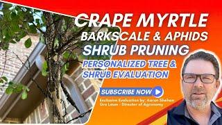 See this Tree & Shrub Analysis & Why You Need Tree a Expert Personalized Care!