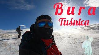 B u r a | Tušnica