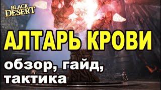 Алтарь крови (обзор, тактика и гайд) в Black Desert (MMORPG-ИГРЫ)