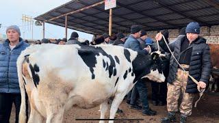 Shahidon mol bozori sigirlar va ġunajin narhlari bilan tarnishing 31.12.2024yil