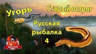 Русская рыбалка 4 Угорь на старом остроге