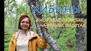 Хибины Биоразнообразие на разных высотах