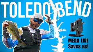 Toledo Bend BASS Fishing VLOG | MEGA LIVE Saves Us From Zeroing | #fishing #bassfishing