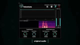 De-Noising Speech Recordings with Accentize VoiceGate (Audio Plugin)