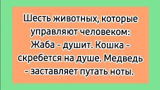 Аллегория!  Анекдоты про животных, лучшие смешные короткие анекдоты про зверей.