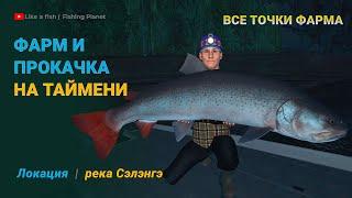 Fishing Planet - Фарм и Прокачка на Таймени на реке Сэлэнгэ, фармовые точки на Таймень