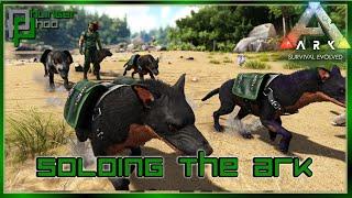 HYAENODON TAMING PEN - HYAENODON TAMING AND BREEDING A PACK! Soloing the Ark S6E19