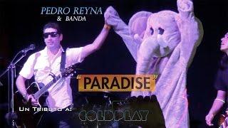 PARADISE -  COLDPLAY Lima Peru 2016 - Tributo Pedro Reyna & Banda