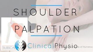 Shoulder Palpation | Clinical Physio Premium