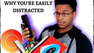 Why You're Easily Distracted - New Way to Think of Attention