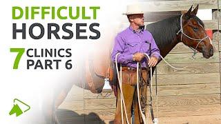 How to Train Difficult Horses  | 7 Clinics with Buck Brannaman | wehorse