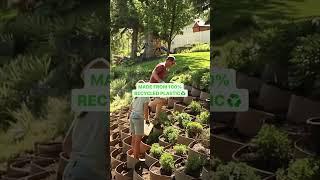 Family gardening on front yard slope with terrace raised garden planters for growing vegetables