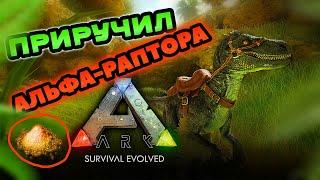 ПРИРУЧИЛ РАПТОРА И ПРОКАЧАЛ ЕГО В ARK SURVIVAL EVOLVED MOBILE 2024! #arkmobile #аркмобайл #арк