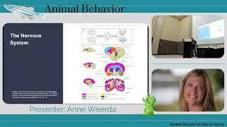 Natural History Lecture Series: Animal Behavior