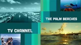 The Palm Beaches TV Promo