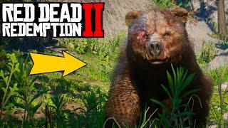 КАК ОХОТИТЬСЯ НА ЛЕГЕНДАРНОГО МЕДВЕДЯ В RED DEAD REDEMPTION 2?