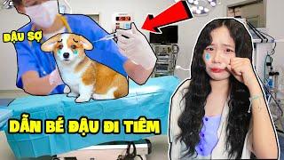 SAMMY DẪN BÉ ĐẬU ĐI BỆNH VIỆN | ĐÉ ĐẬU KHÓC VÌ BỊ TIÊM