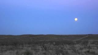 Stoney LaRue - "Texas Moon"