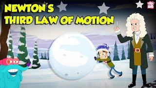 What is Newton's Third Law of Motion | Action and Reaction Forces with Examples | Dr. Binocs Show