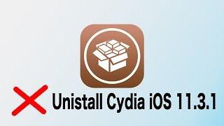 Delete Cydia Without Updating iOS