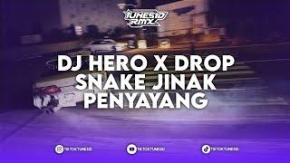 DJ ALAN WALKER HERO X DROP SNAKE JINAK PENYAYANG DUTCH REMIX BY NASKY RMX