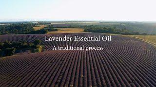 Lavender Essential Oil - A traditional process | BMPCC6K + Mavic 2 Pro