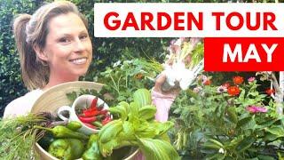 MAY - Full Melbourne vegetable garden TOUR - plus what to plant now! Gardening Australia