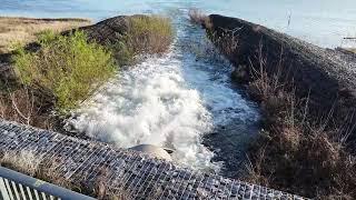 Cottbuser Ostsee, Hurra der See ist voll. Zielwasserstand erreicht.23.12.24