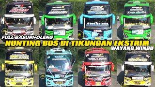 mobil bus telolet artis bus maudi tuan muda Sekar DAMRI DAV katak ijo babyboss Arjuna Garfield dll