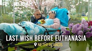 Beyond Suffering: Understanding Euthanasia in the Netherlands