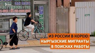 Из России в Корею: Кыргызские мигранты в поисках работы