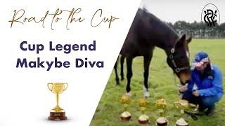 Road To The Cup|| Cup Legend Makybe Diva