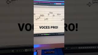 LA CLAVE DE LAS VOCES PROFESIONALES #voces #vocales #afinarvoces #editarvoces #melodyne #autotune