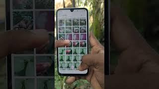 How to hide Gallery Photos and Videos in Samsung Galaxy A15 Smartphone #5minutestech #samsunga15