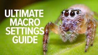 The BEST Camera Settings for Macro Photography