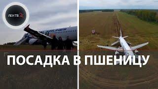 Самолет сел в поле | Рейс Сочи-Омск Уральских авиалиний приземлился в пшеницу | Аварийная посадка