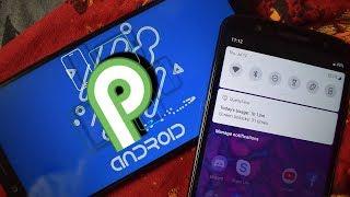 Android 9.0 P Name Leaked!!! Final Release Date Revealed!